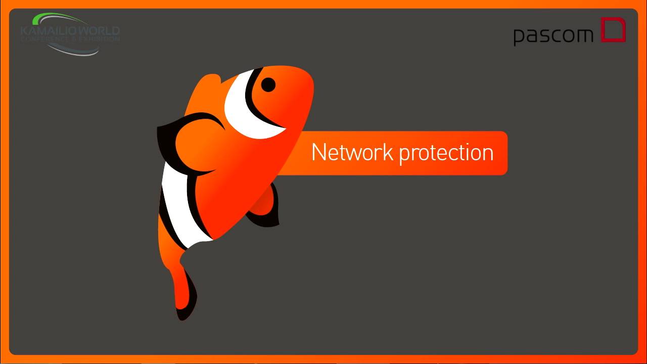 Kamailio World 2016 - Your Whole Network As SIP IPS