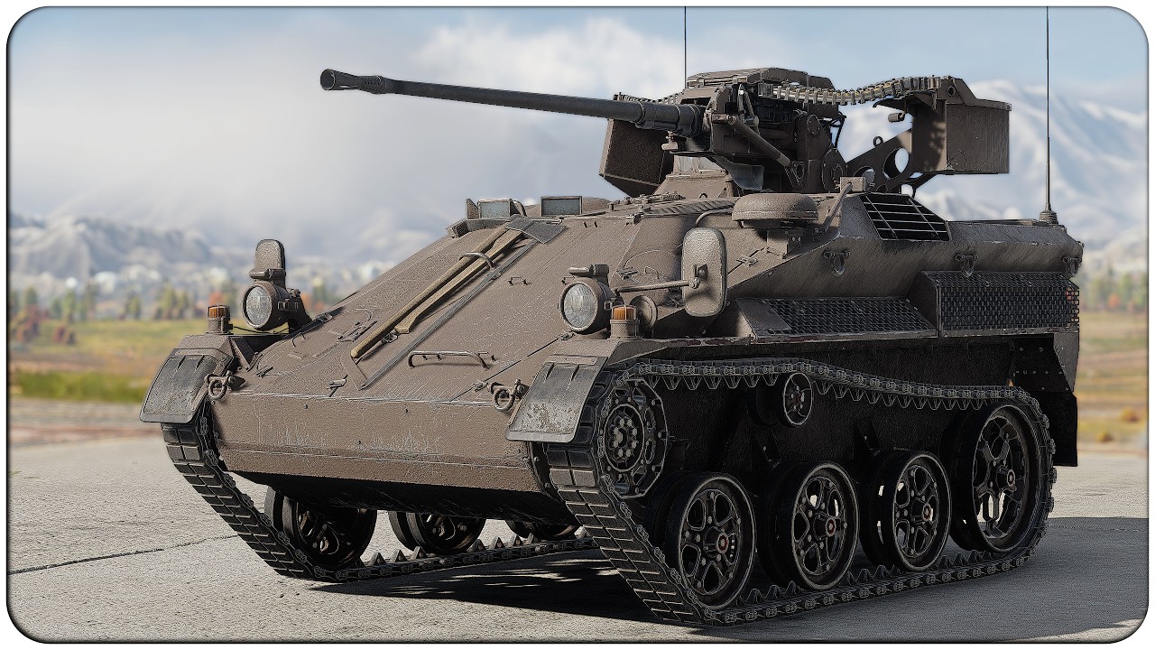 The 20MM MOSQUITO from HELL || Wiesel 1A4