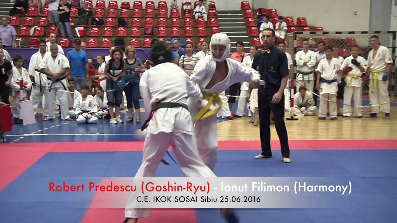 Robert Predescu (Goshin Ryu) -  Ionut Filimon (Harmony)
