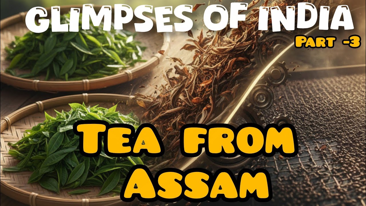 Glimpses of India – Class 10 English | Full Explanation | Chapter-wise Summary  | NCERT 