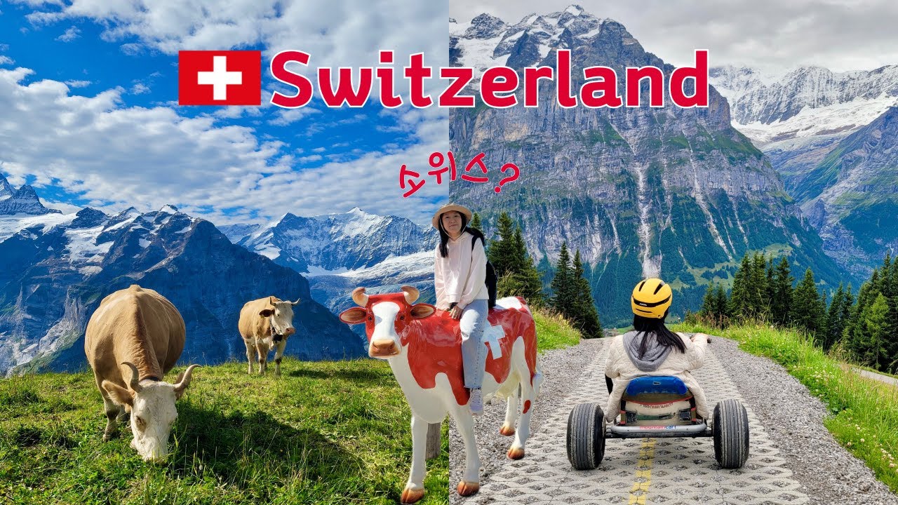 스위스여행🇨🇭피르스트와 융프라우요흐 모두 즐기기 | 피르스트 액티비티 꿀팁 | (Coop)쿱마트 추천템 쇼핑리스트