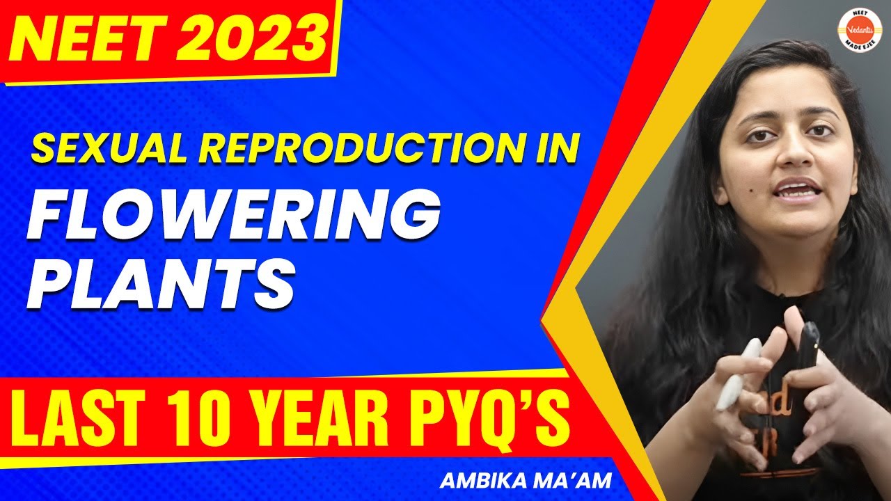 Sexual Reproduction in Flowering Plants With Last 10 years PYQs | NEET 2023 | NEET Biology