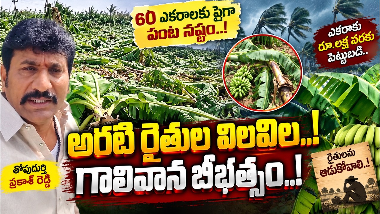 అరటి రైతుల విలవిల..! గాలివాన బీభత్సం..!@ YSRTV