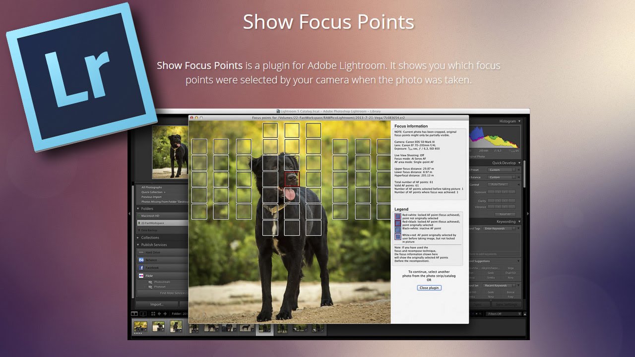 Cómo ver los puntos de enfoque en Lightroom (con un plugin)