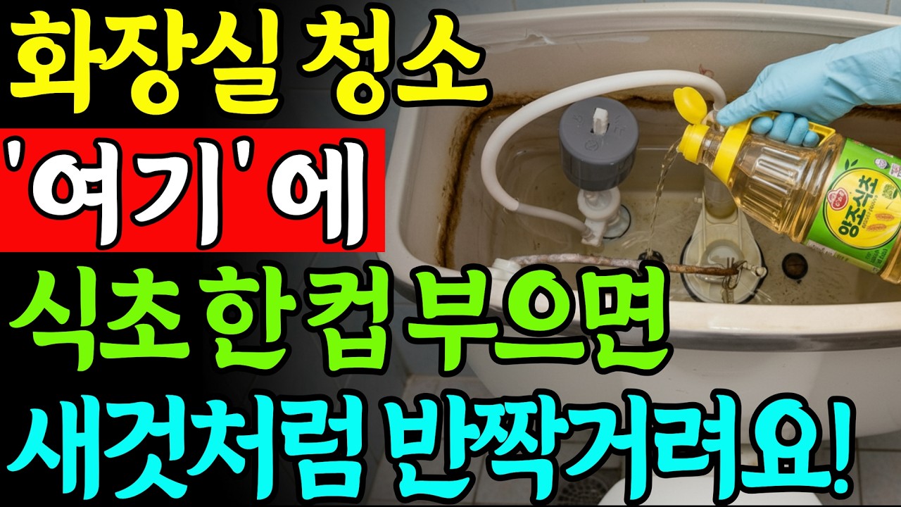 화장실 청소 '여기'에 식초 한 컵 부으세요! 10분만에 호텔 화장실 만드는 청소법!