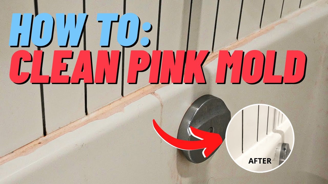How to Clean Pink Mold in Your Shower & Bathtub (SUPER EASY)