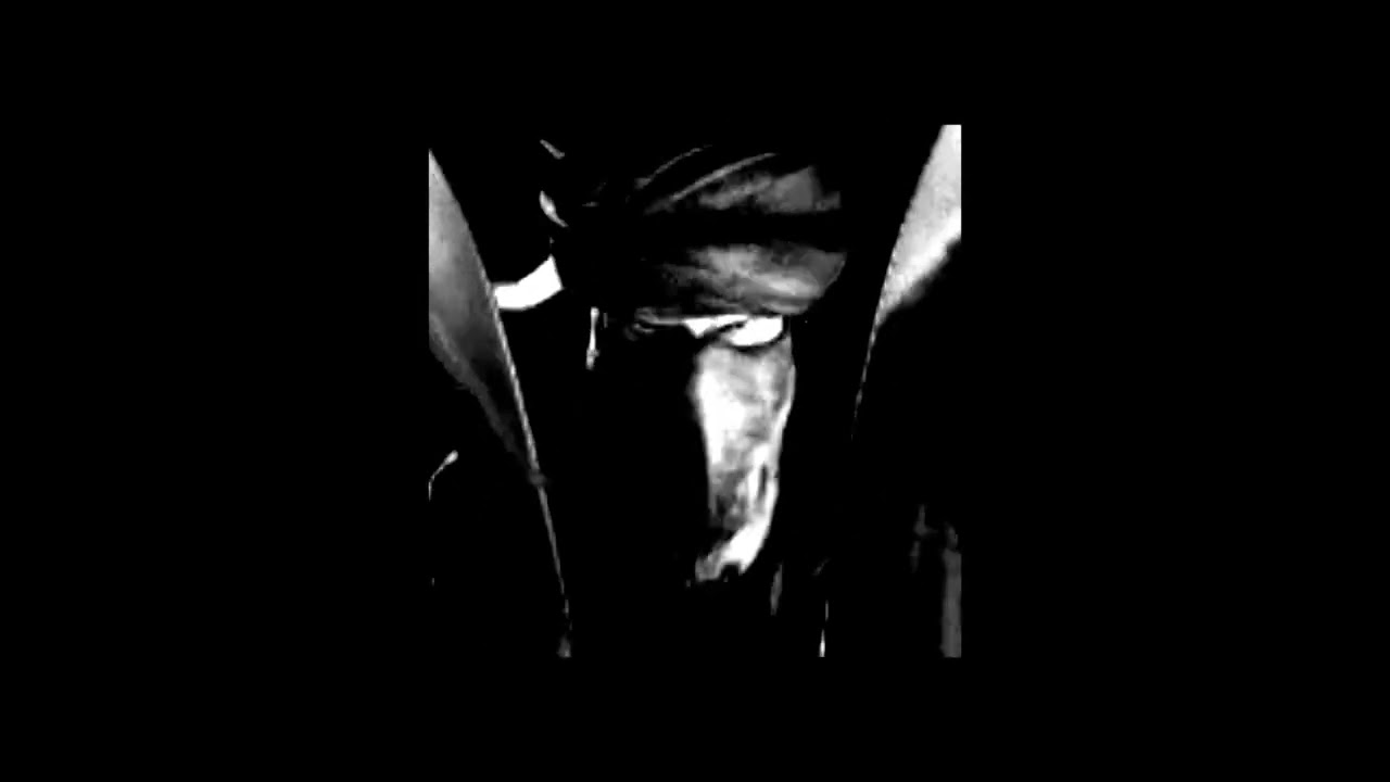 Wels - PULL UP