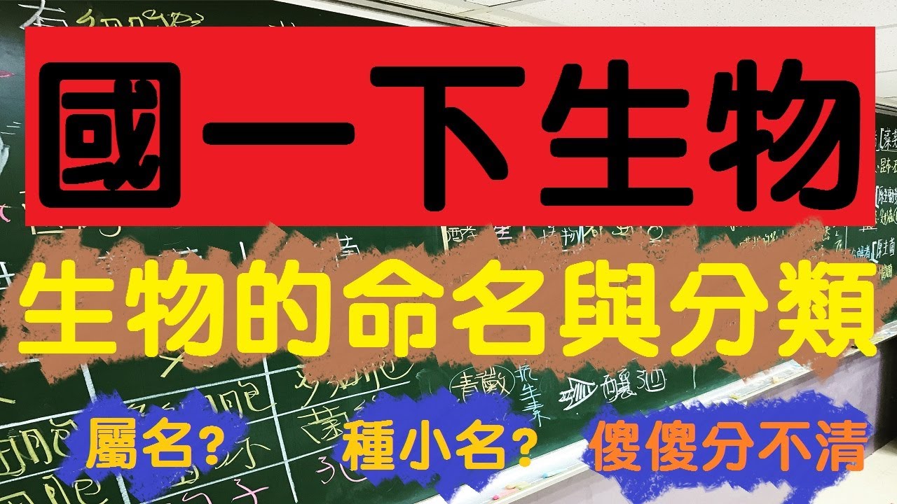 國一下生物 3-2 生物的分類與命名 | 學名判讀 | 親緣關係怎麼看 | 108課綱