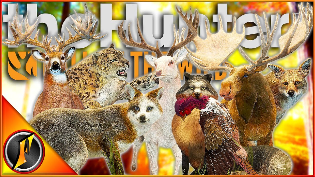 My TOP 10 Call of the Wild Trophies of ALL TIME! | theHunter Call of the Wild