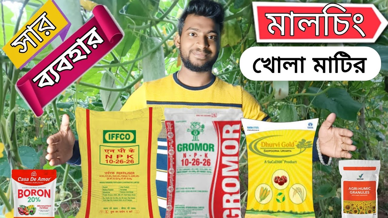 শশা চাষের সার ব্যাবস্থাপনা ,জমি তৈরি থেকে একদম শেষ পর্যন্ত ।Sosa chas r sar babostha .
