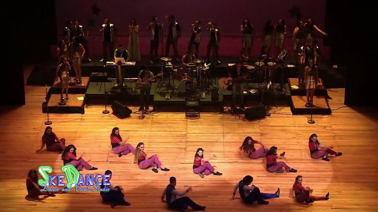 Vive - SkeDance cover