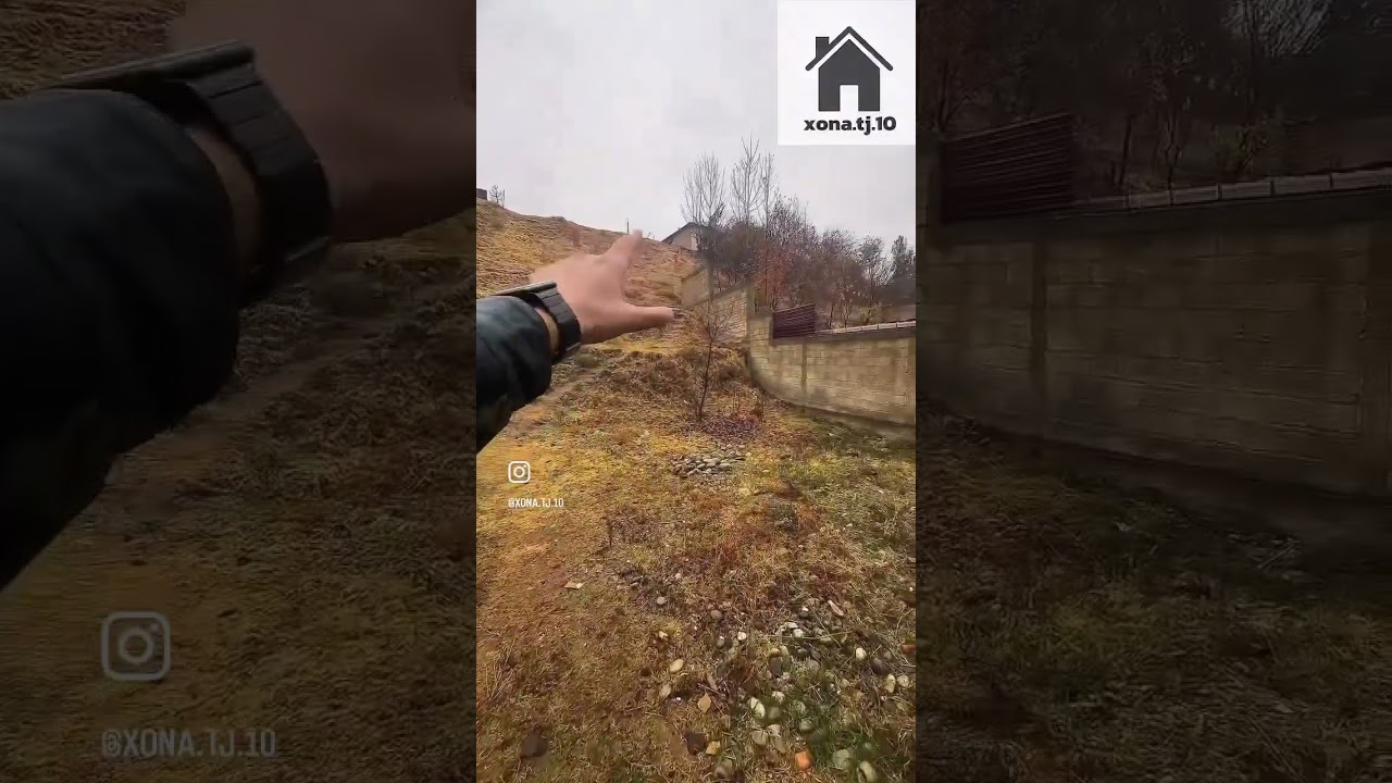 18 января 2026 г.
