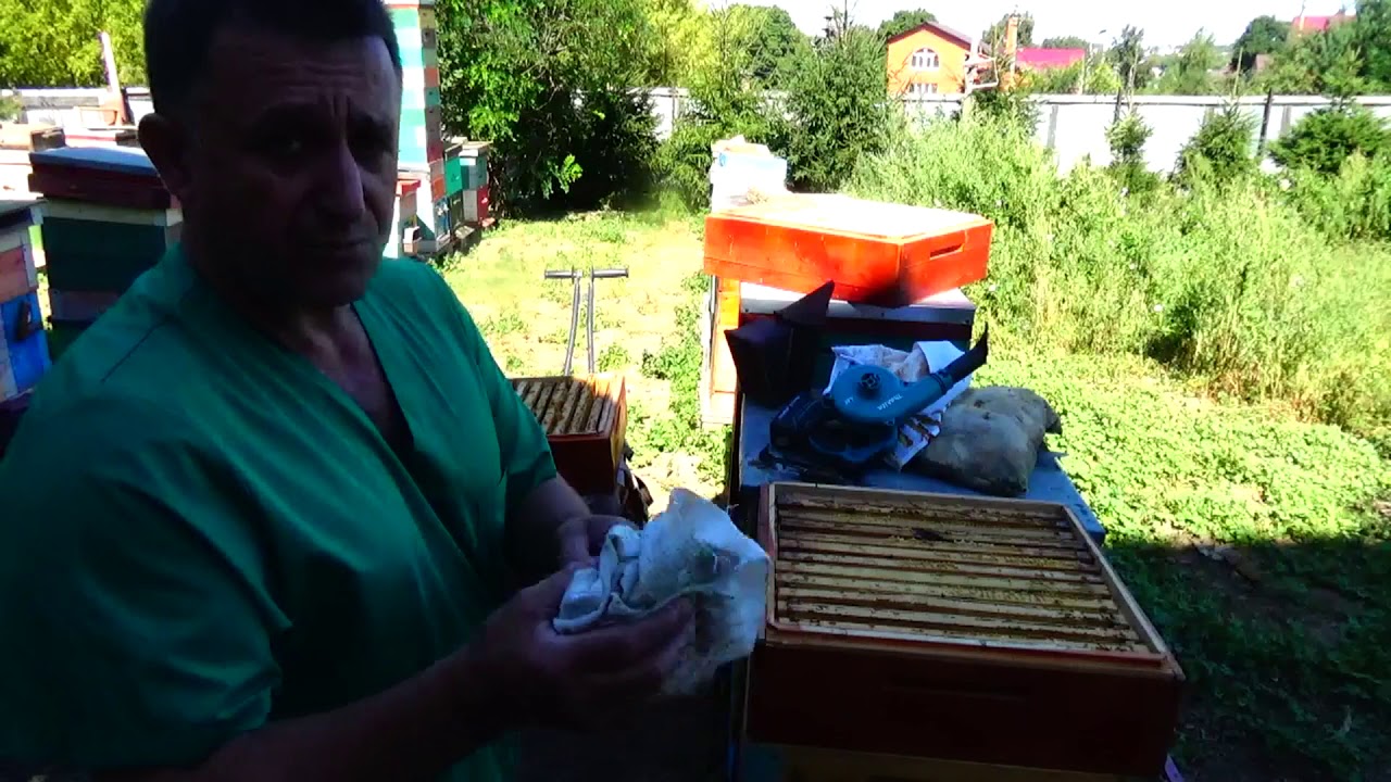 Медосбор 2018г 