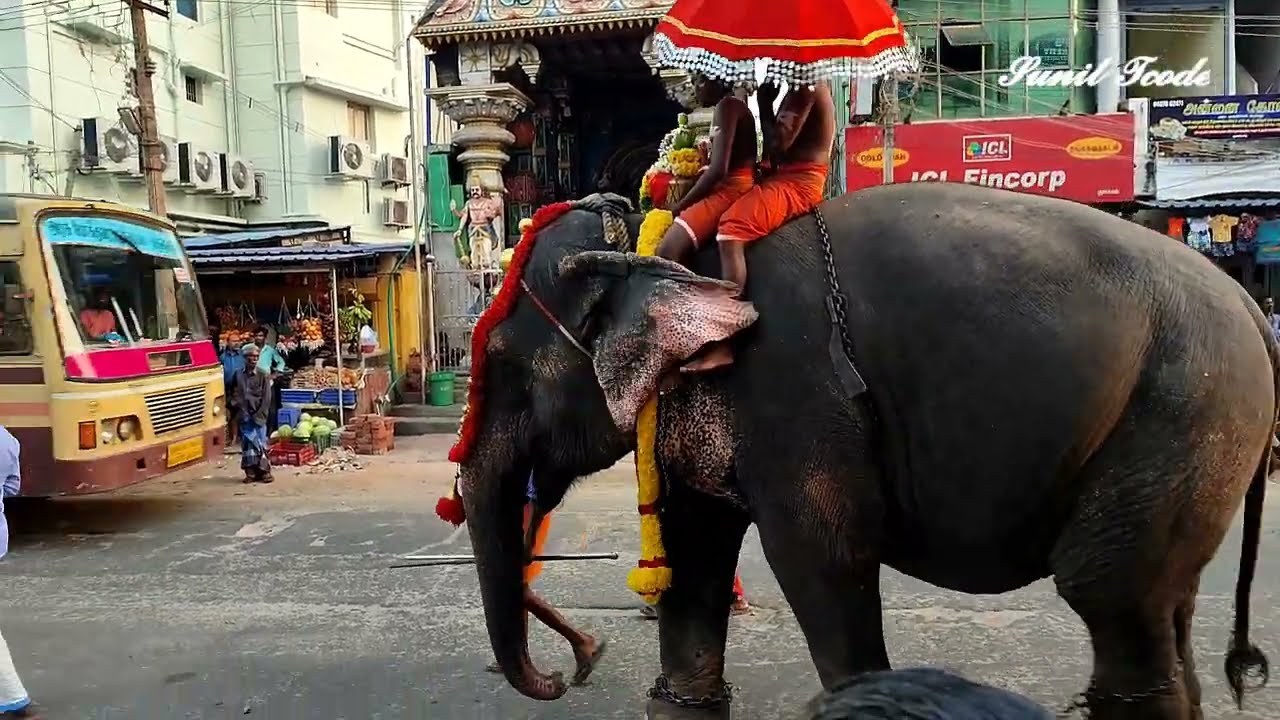 மண்டைக்காடு 6 ஆம் திருவிழா 2022 / வலிய படுக்கை / பால்குடம் ஊர்வலம் / mandaikadu festival 2022