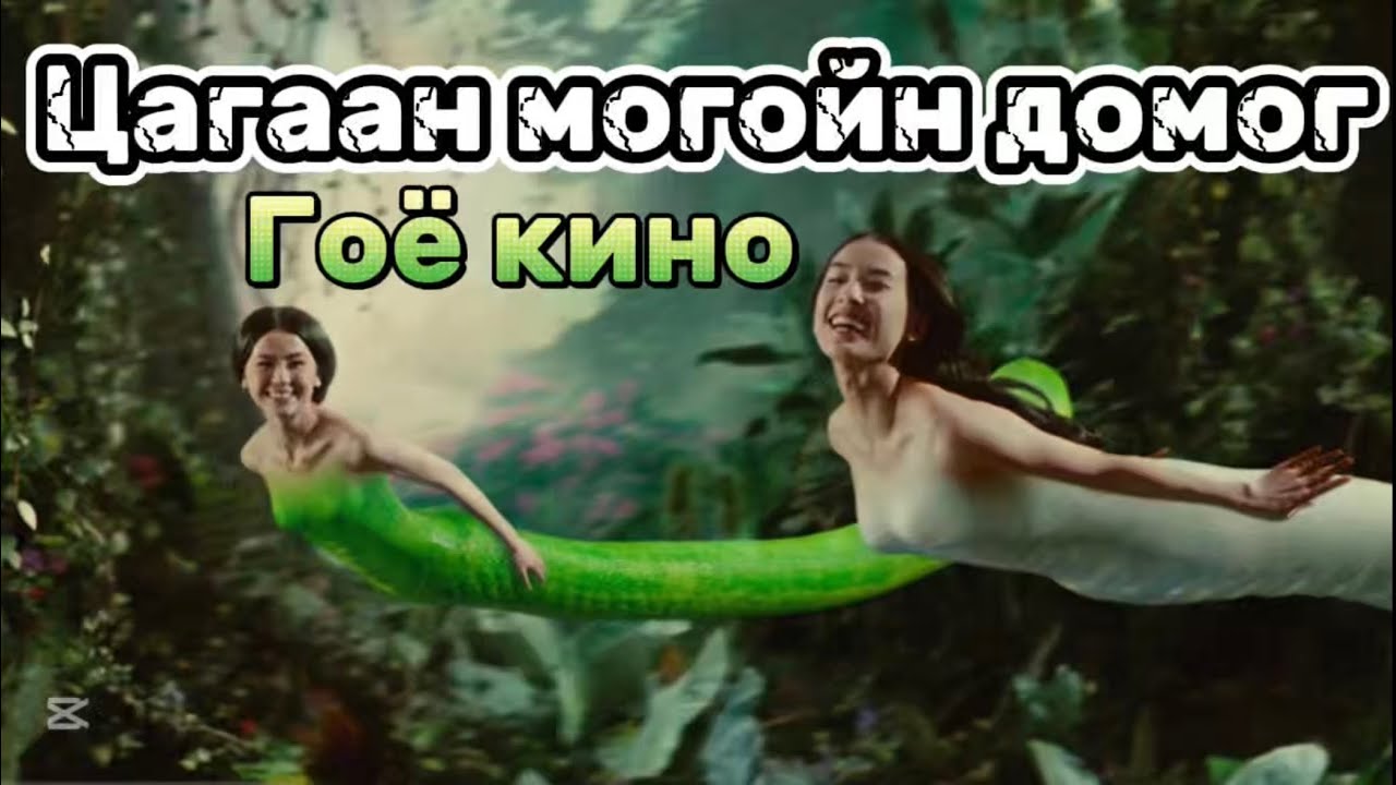 Могой хүнд дурлачихвал тэр хүн нь эргүүлж хайрлах болов уу?