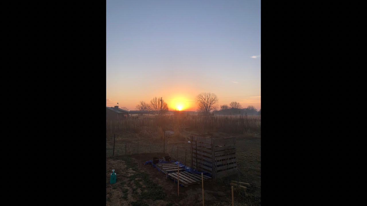 Backyard Gardening & Morning Inspiration