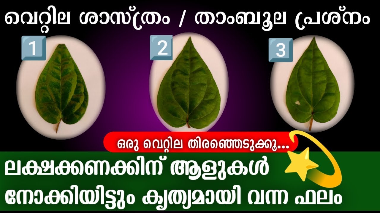 🔥നിങ്ങളുടെ രഹസ്യം 👉🏻 വെറ്റില  പറയട്ടെ  ... Mangattutharavadu 2026