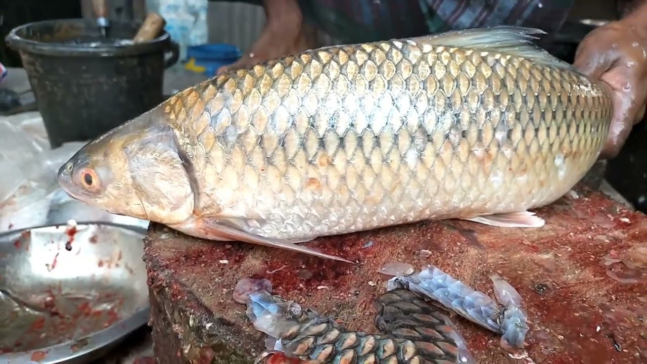 Amazing Cutting Skills Fast Giant Mrigal Fish Cleaning & Cutting By Expert Fish Cutter