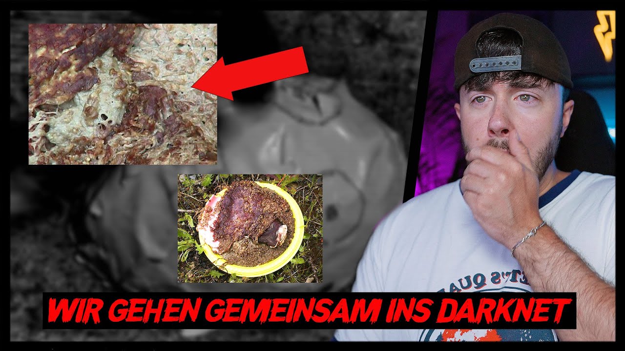 Ich musste mich fast übergeben! Perverse und ekelhafte Websiten aus dem Darknet! | Episode 96