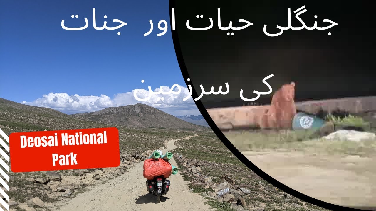 DEOSAI - THE LAND OF GIANTS | WHERE YOU LOSE YOUR SENSES | ROOF OF THE WORLD | EP#5