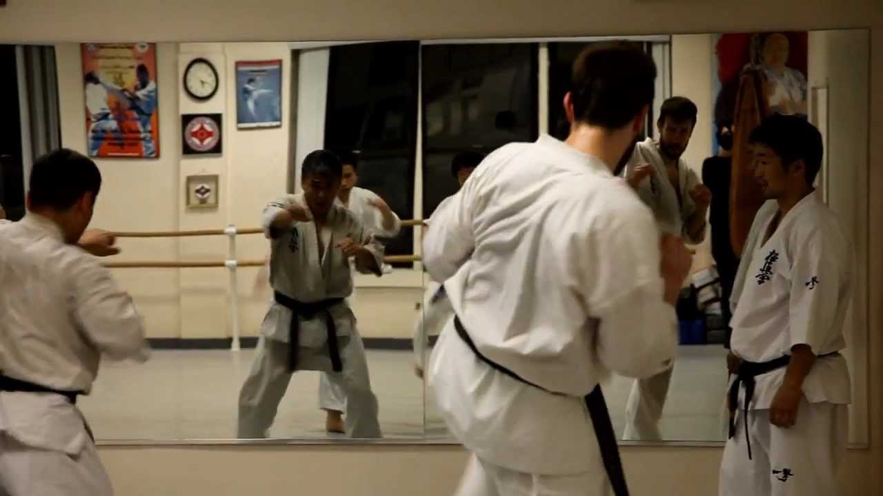Kyokushin Serbia . Pripreme Za Tokyo, Japan .  2011