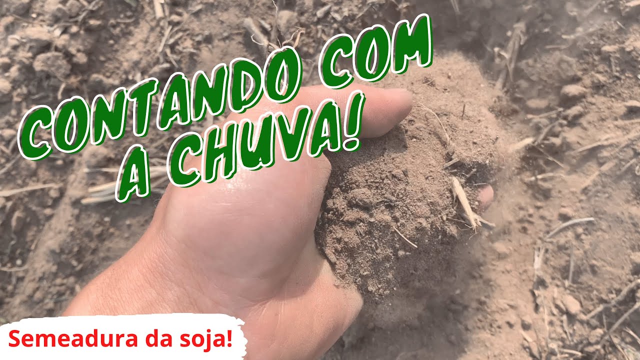 PLANTANDO no PÓ - será que vem chuva??