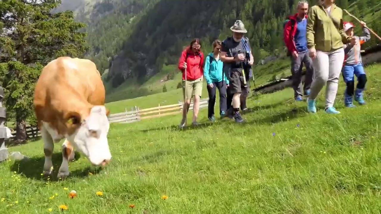 Wandertipps im P&ouml;llatal