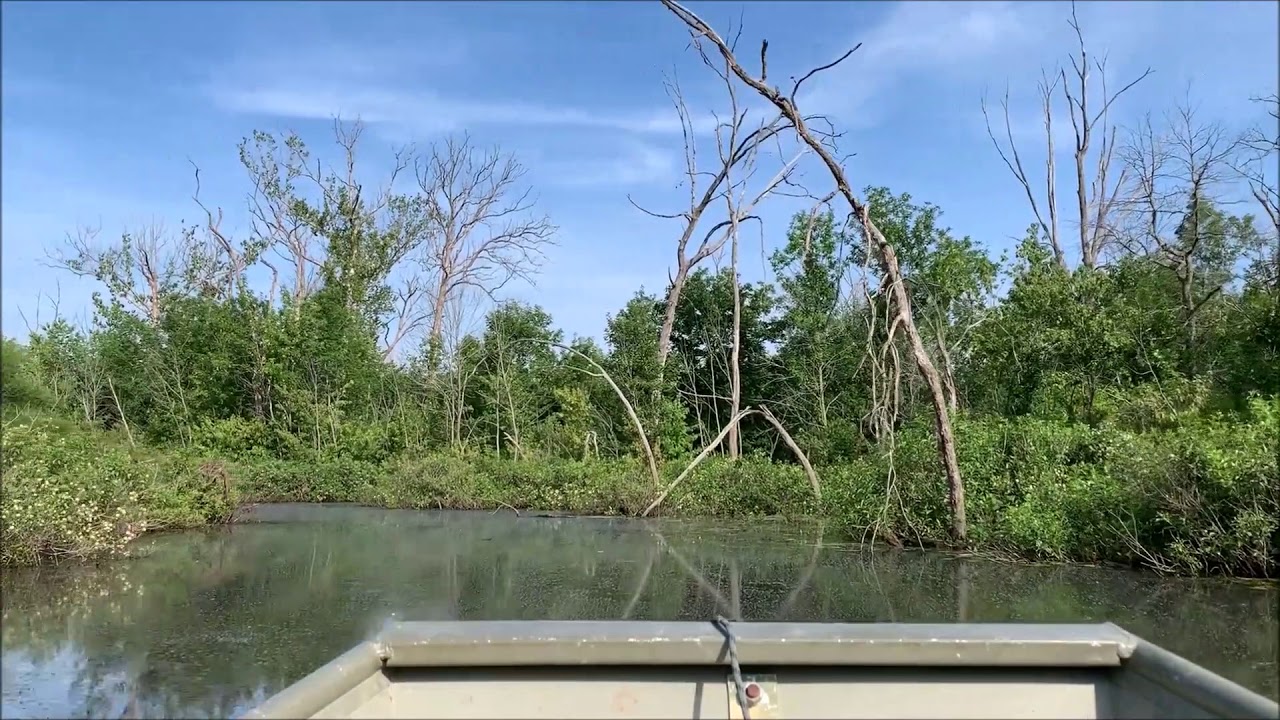 Beaver Marsh at Deer Ridge Conservation Area - timelapse virtual tour