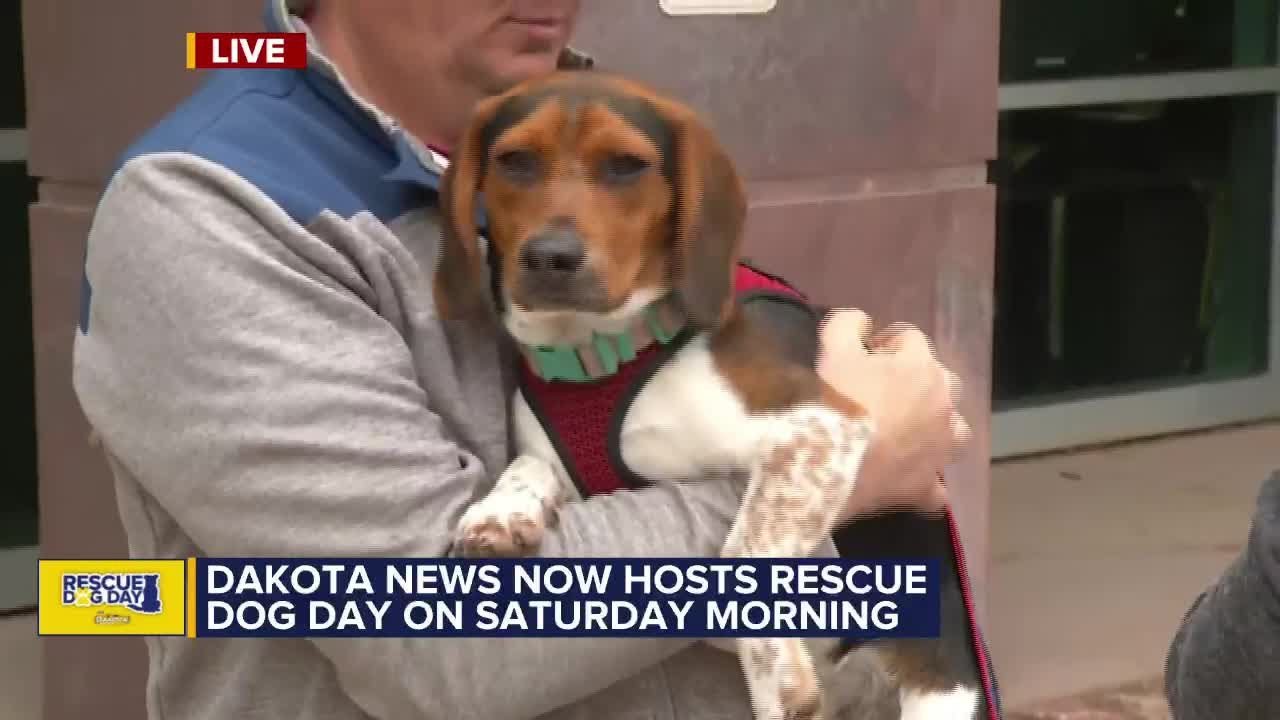 B-Squad Dog Rescue prepares for Rescue Dog Day