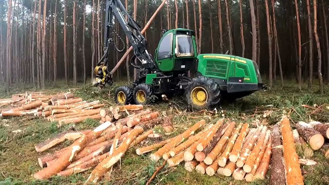 Z Życia Drzewiarza. John Deere 1070E Cz.2 Wycinka i wywóz drewna.