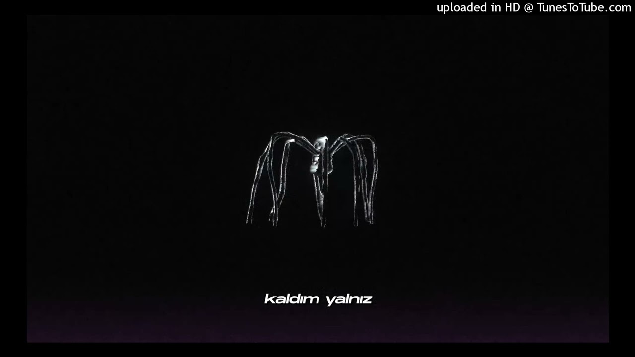 Hypzex Kum - Neden Kaldım Yanlız (Slowed + Reverb)