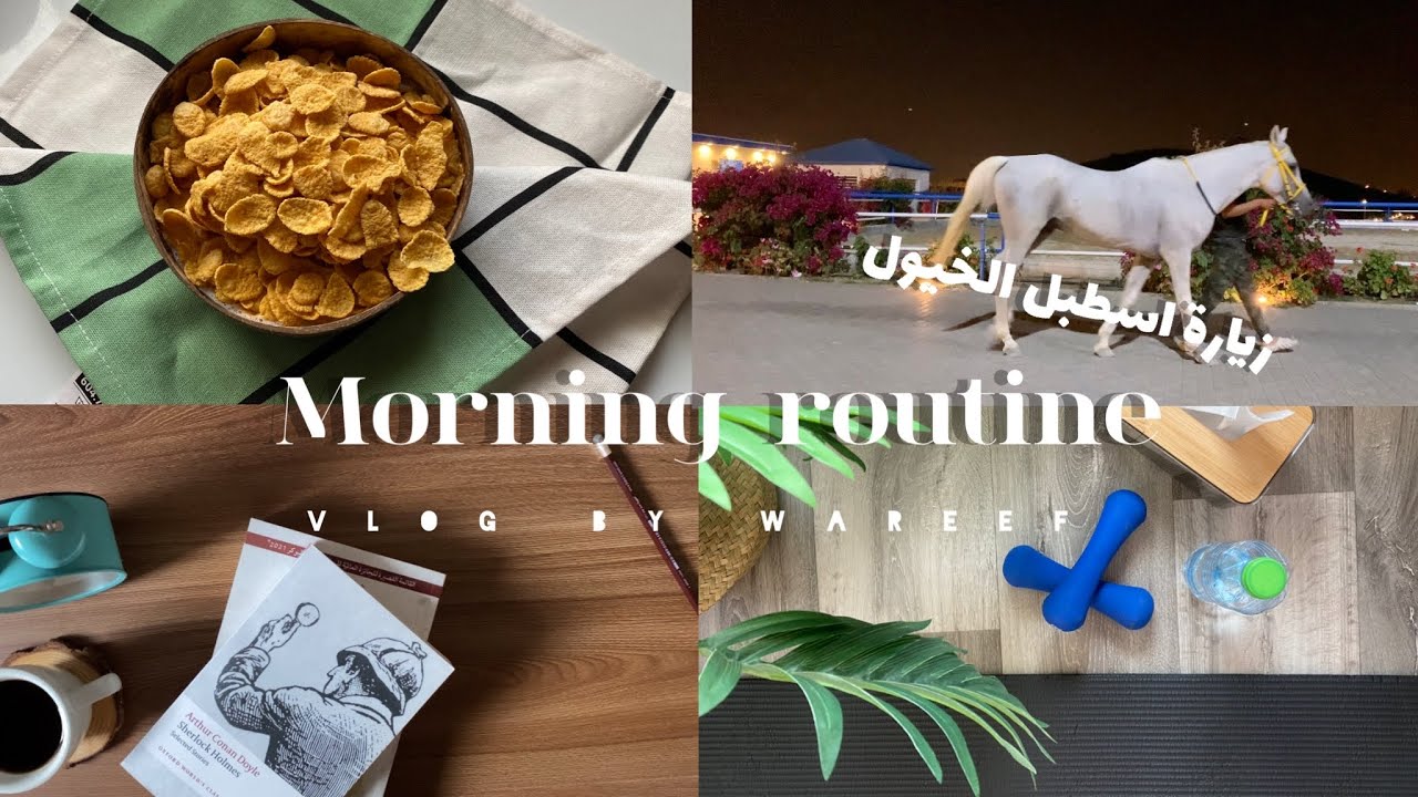 روتين الصباح + زياره اسطبل الخيل |morning routine, horse stable