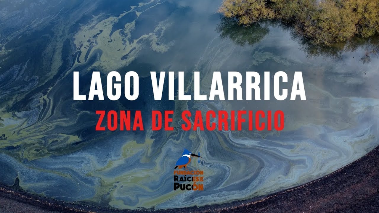 Contaminación Lago Villarrica - Bloom algas 2023