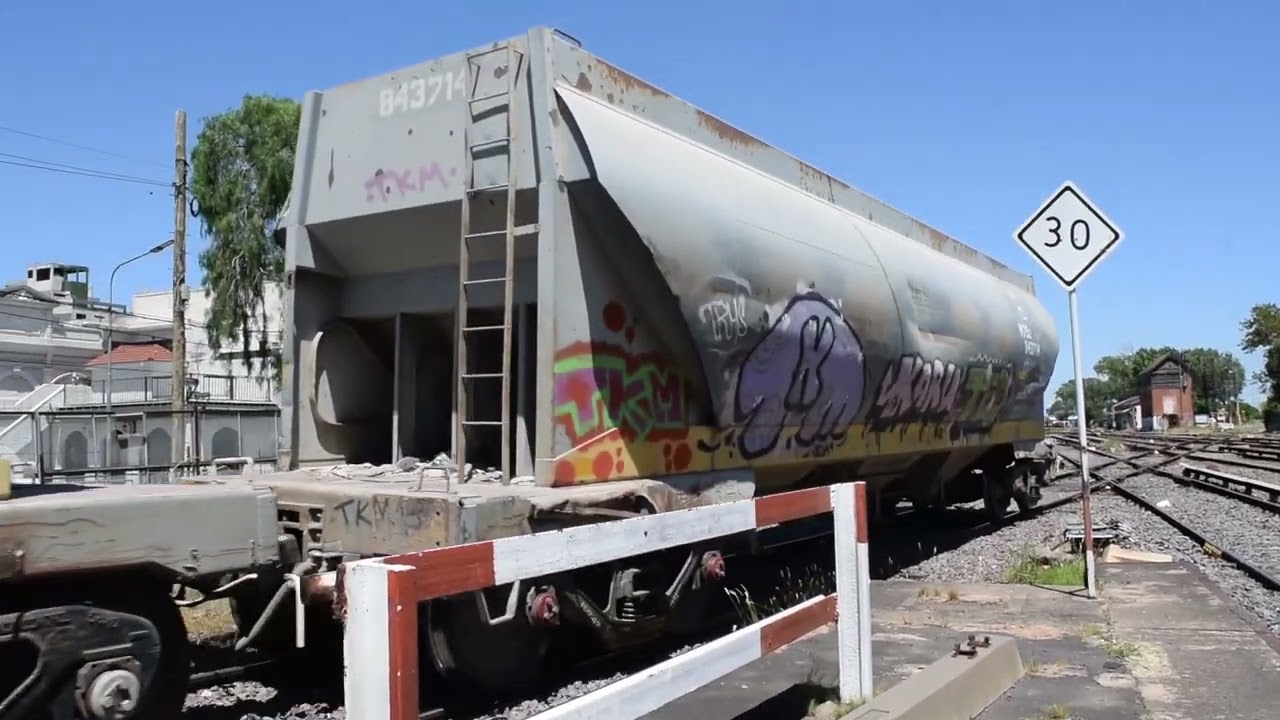 Gran compilado del Sarmiento Y un Poco del Roca Y san Martin toda la Flota en Haedo!