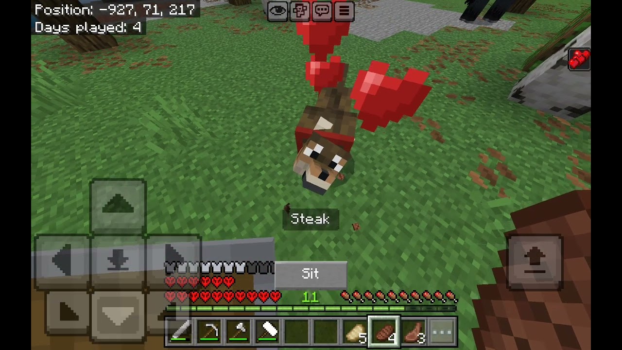 روضت حصان وهاجرت #8 سويت بيت لما هاجرت