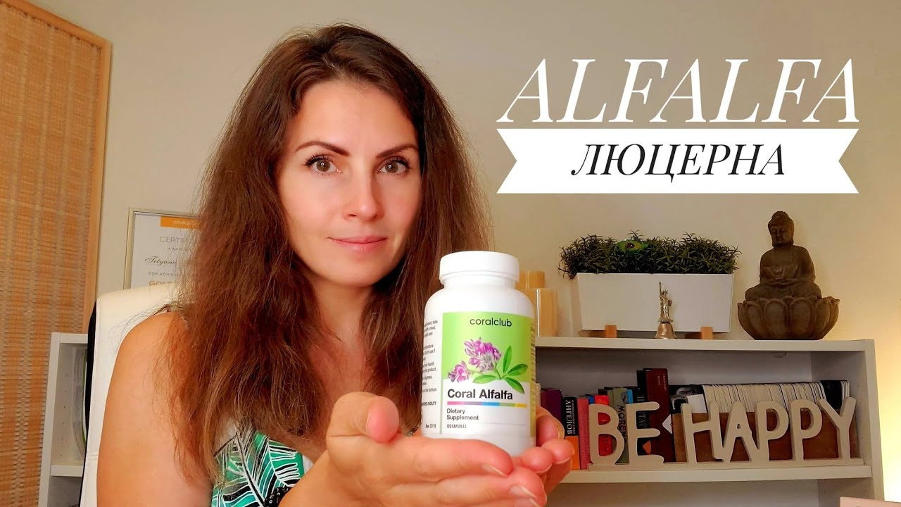ALFALFA  ЛЮЦЕРНА