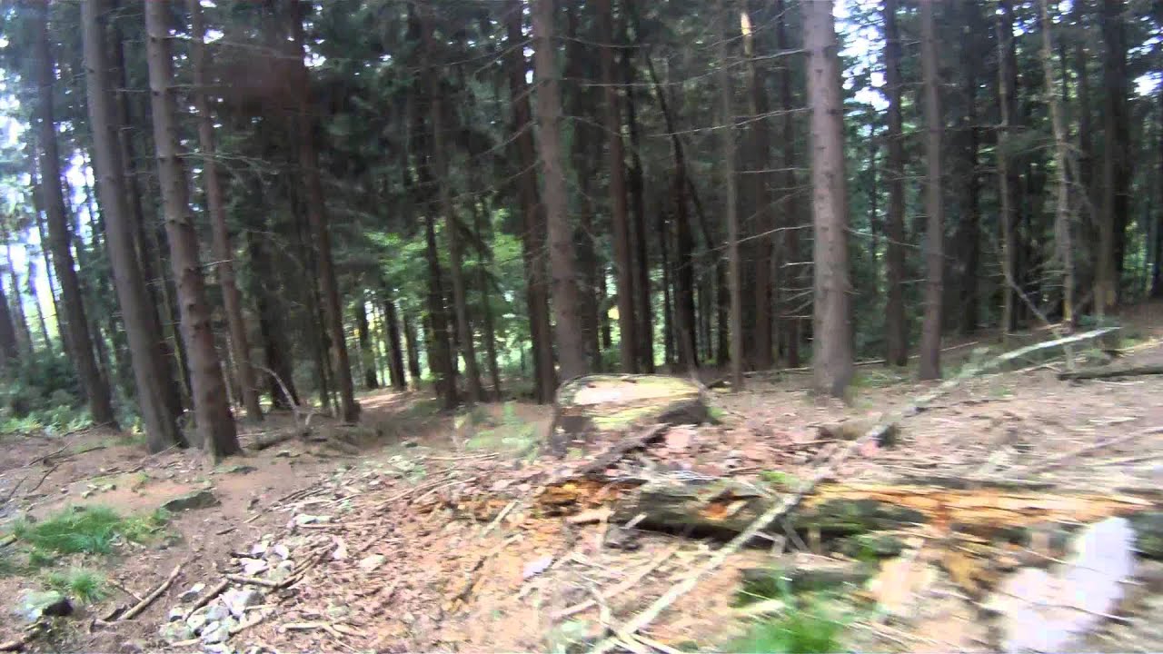 Rusel&Gei&szlig;kopf-Trails: Wanderweg 1a nach Greising