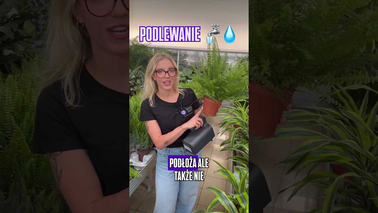 Jak radzicie sobie z uprawą paproci?🤔🌿 