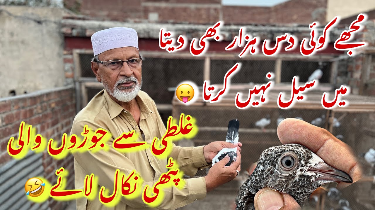 Mujhe koi 10,000 bhi deta tab b sale na krta 😀 03237988919 