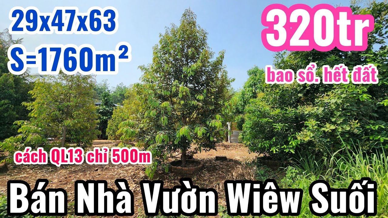 S.63.Bán Nhà Vườn Wiêw Suối Cách QL13 chỉ 500m có giếng .nhà cấp 4 (29x63=1.760m2)Giá 320tr BS
