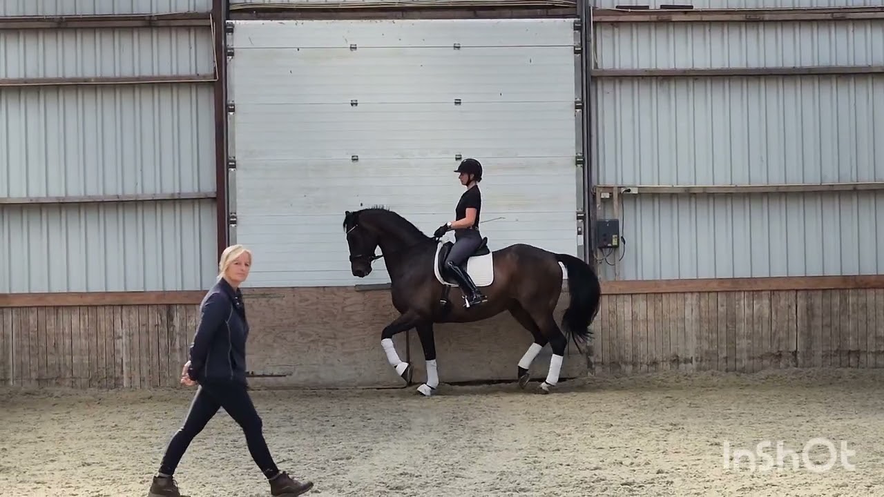 SOLD - Inspire x krack c - 2018 mare