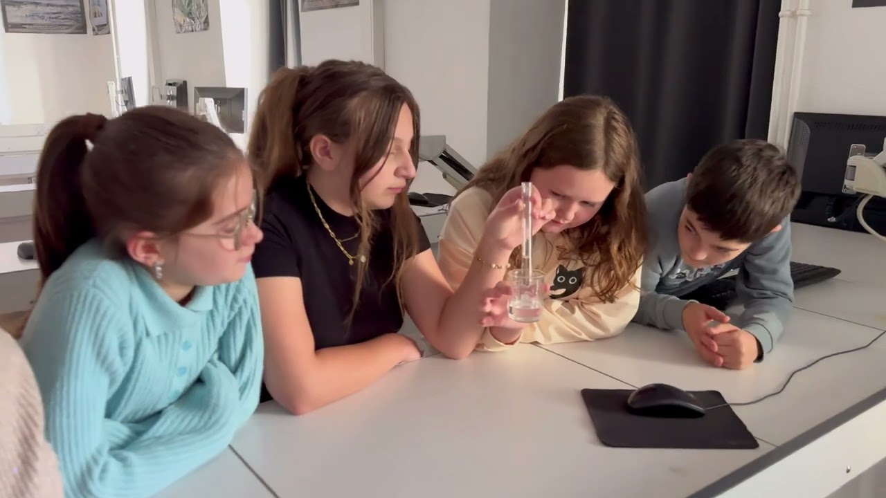 vidéo présentation collège par les 6ème