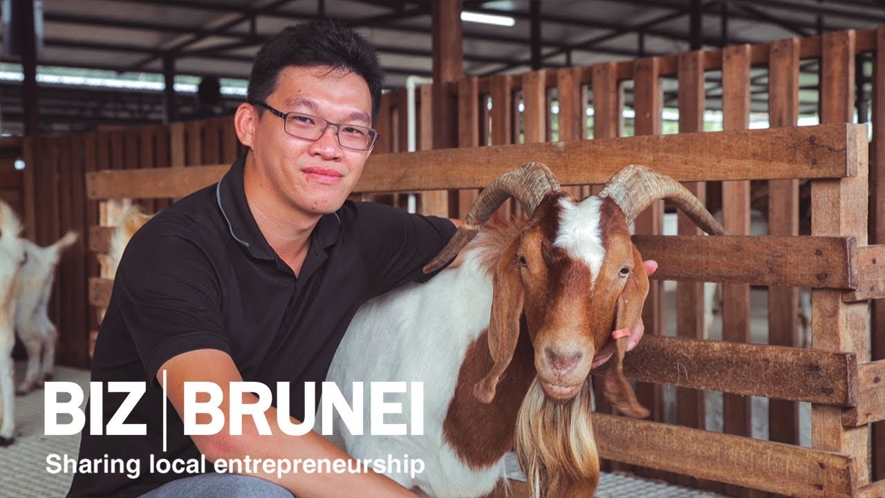 Inside Brunei's biggest goat farm: Brugoat