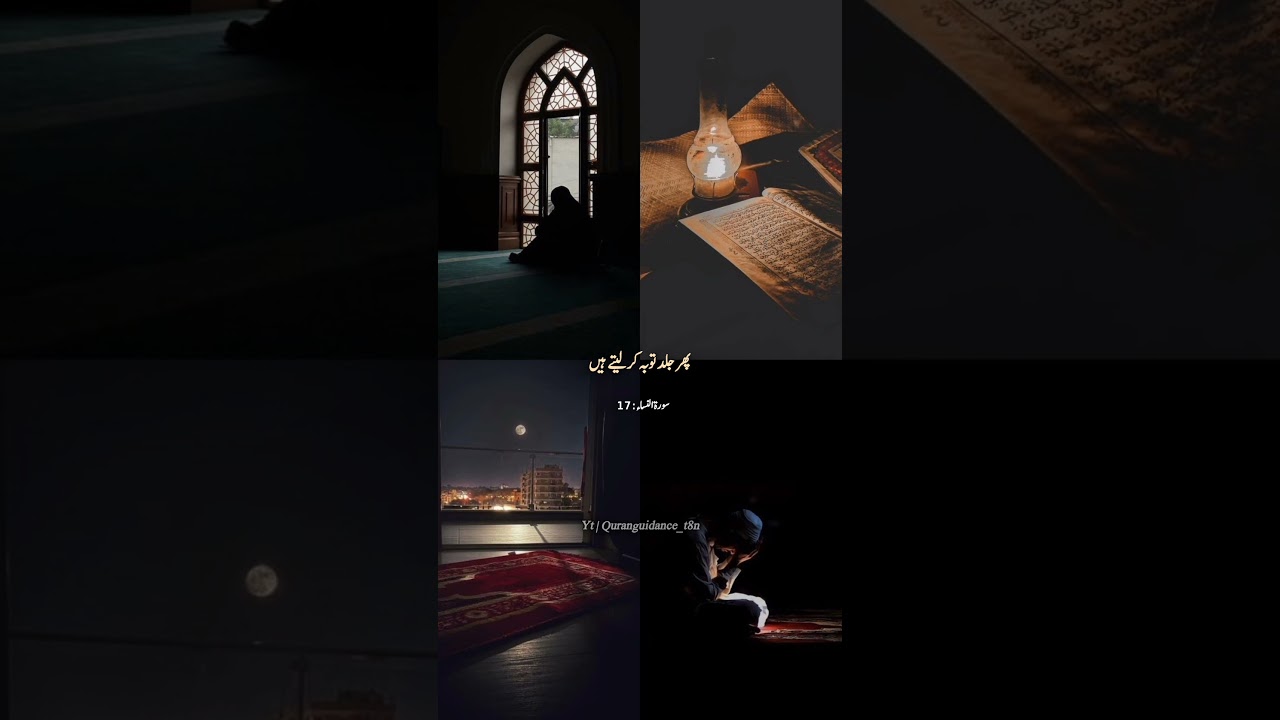 Allah is all knowing All-wise 💌 #quranguidance #quranvideo #unfrezzmyaccount #quran #love #islamic