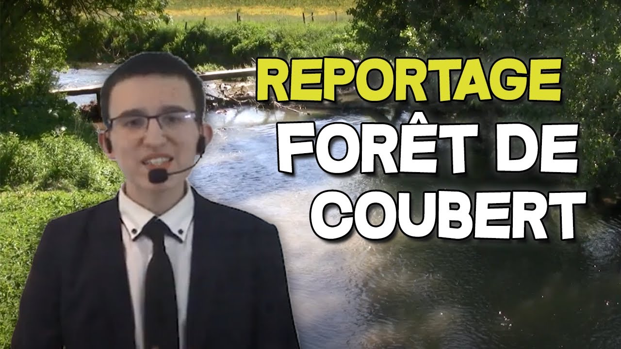 La for&ecirc;t de Coubert