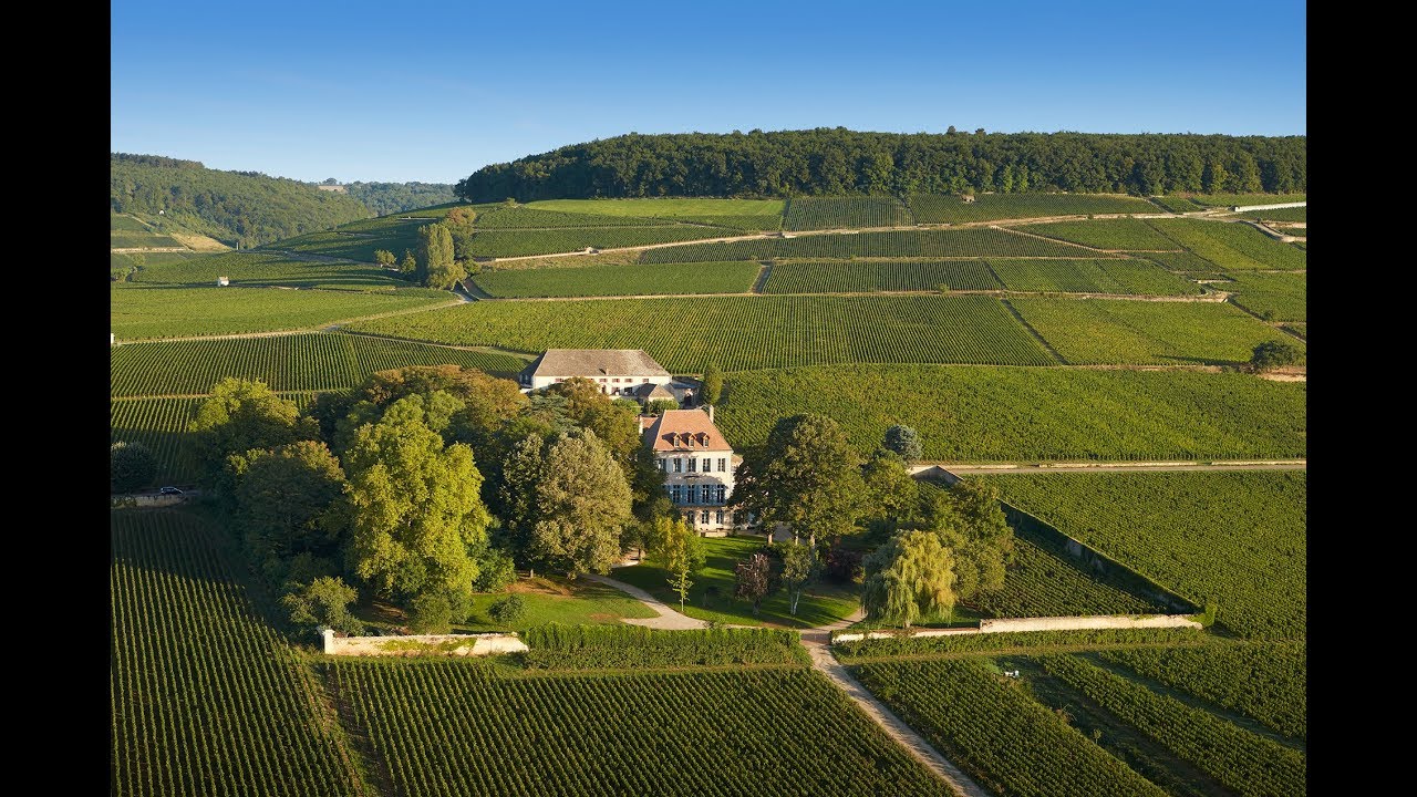 Louis Latour - An outstanding domaine