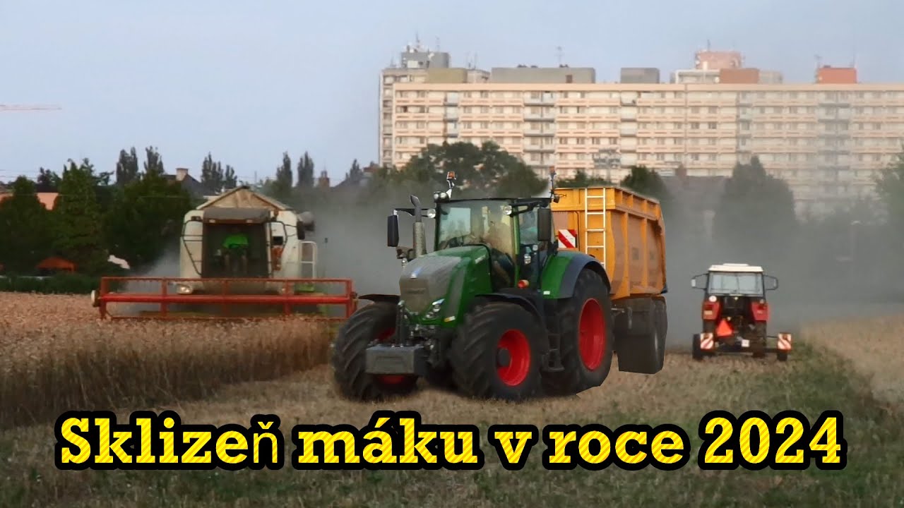 poppy harvest in the field & sklizeň máku na poli - práce na poli & Field work