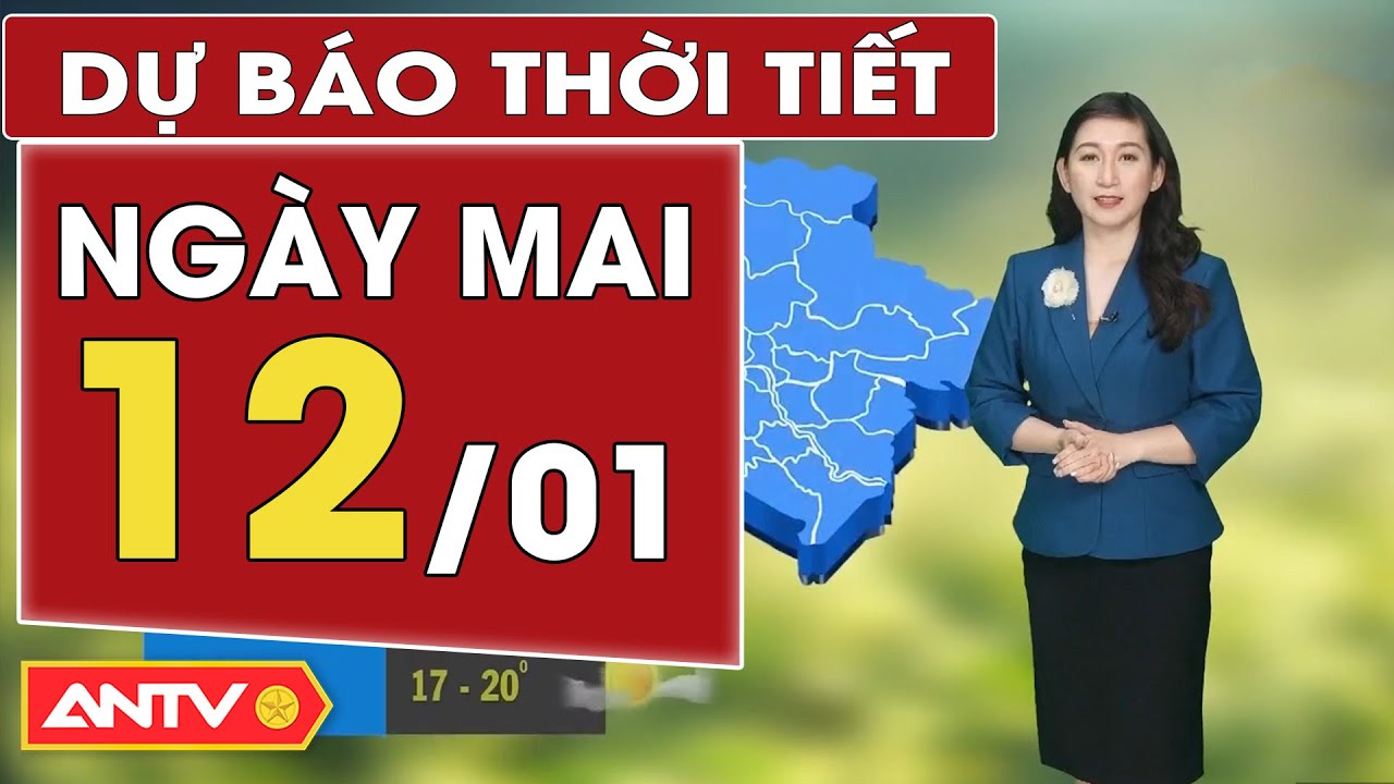 Dự báo thời tiết ngày mai 12/1: Bắc Bộ rét tê tái, Trung Bộ vừa mưa vừa rét | ANTV
