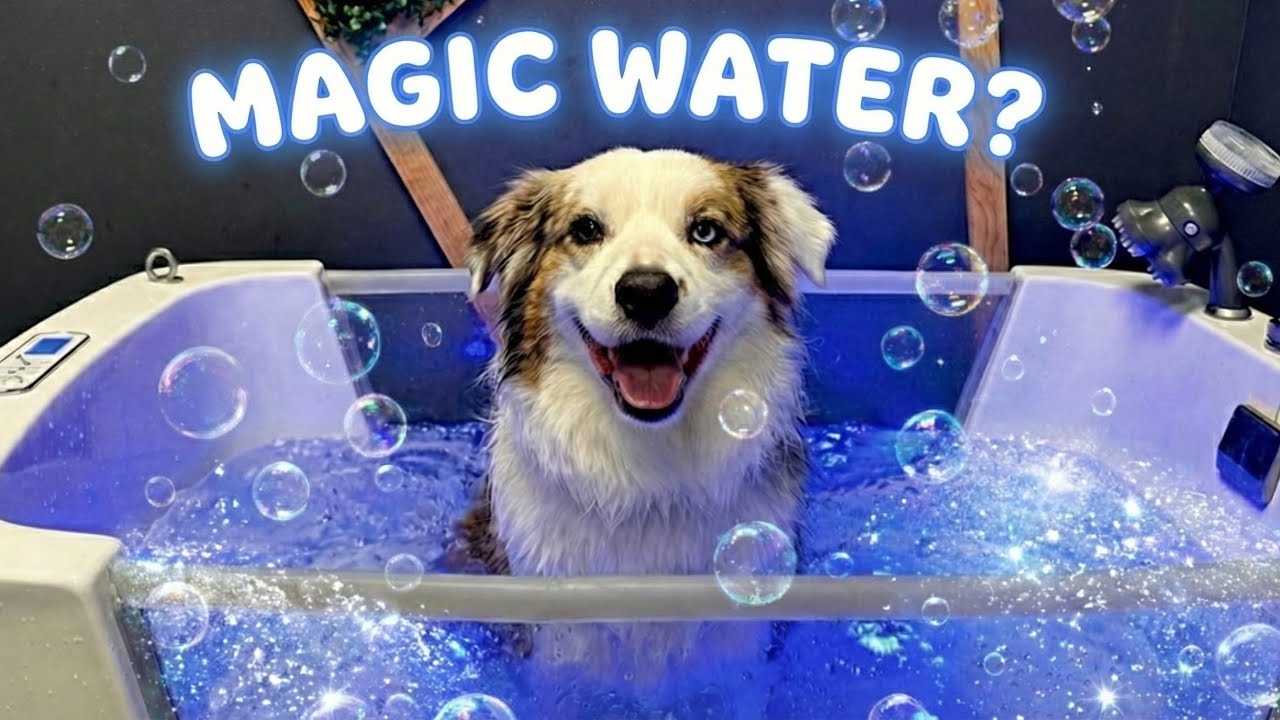 Why is the Water White? (It’s Not Milk!)