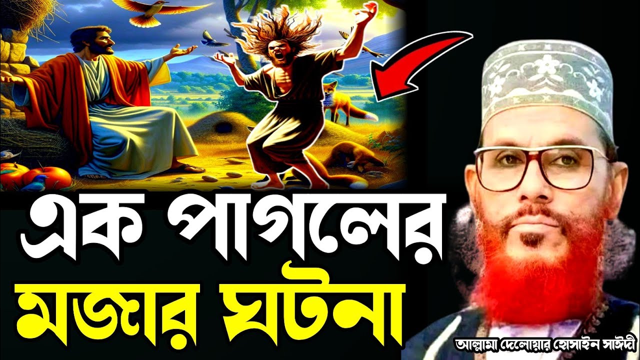 এক পাগলের মজার ঘটনা/আল্লামা দেলোয়ার হোসেন সাঈদী ওয়াজ/Delowar hossain saidi waz, tafseer